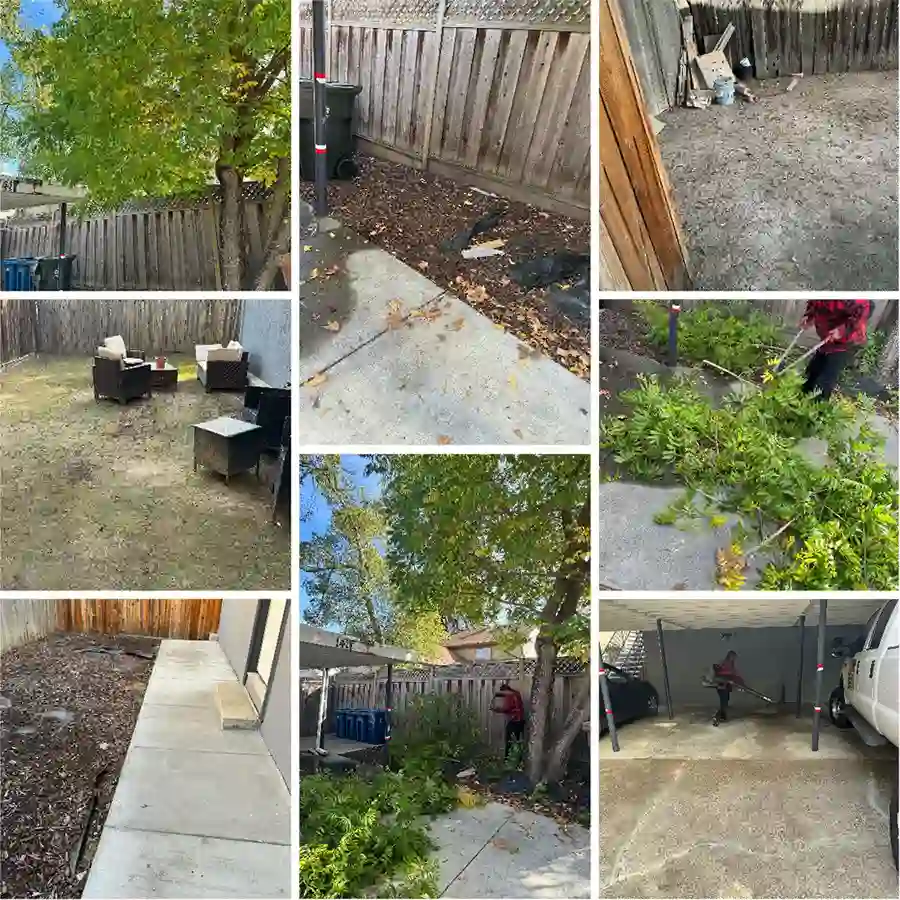 Reliable Landscaping Contractor in Napa, CA Reliable Landscaping Contractor in Napa, CA